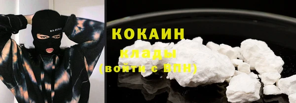 тгк Горнозаводск