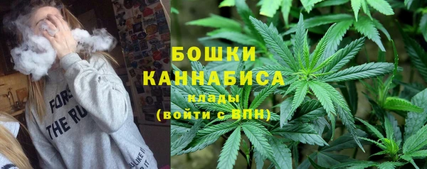 тгк Горнозаводск