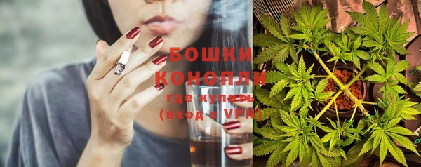 тгк Горнозаводск