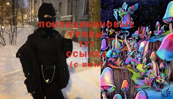 мет Горно-Алтайск